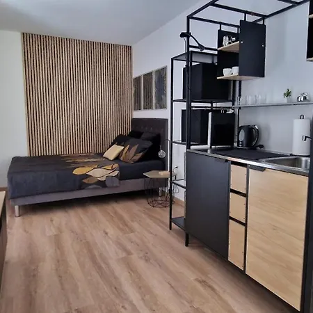 Studio Apartment Aurora Škofljica Esterno foto